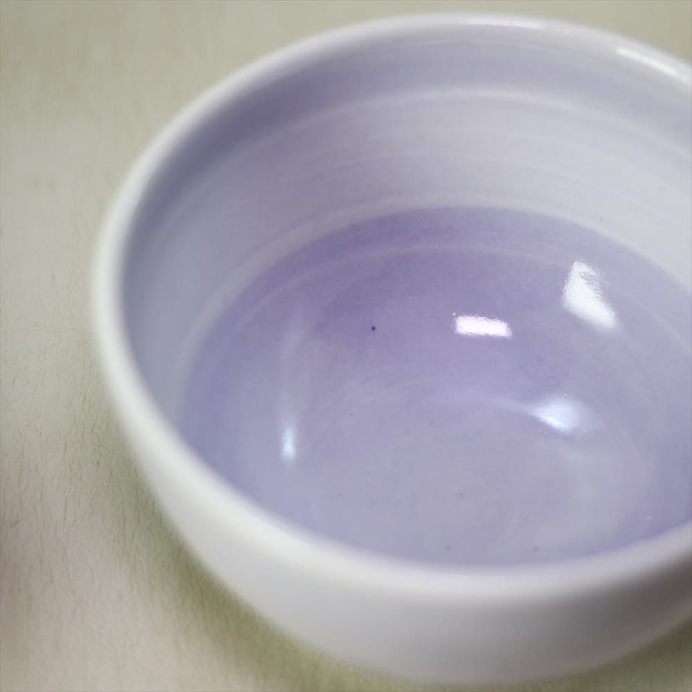 川崎萌　Plenaシリーズ